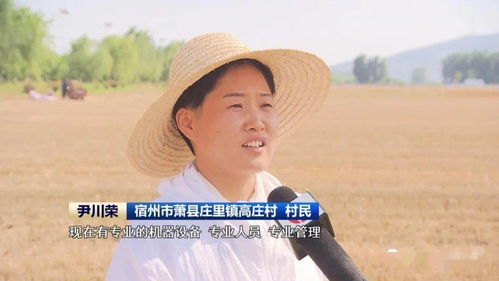 安徽 農機社會化服務助力夏收提速提質，技術推廣是關鍵